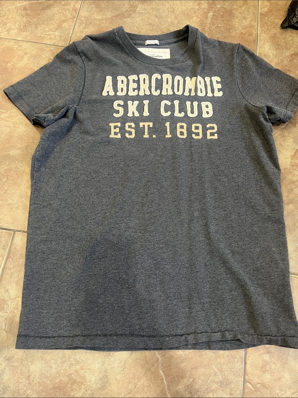 Abercrombie & Fitch Heather Navy 'Ski Club EST. 1892' Graphic Tee